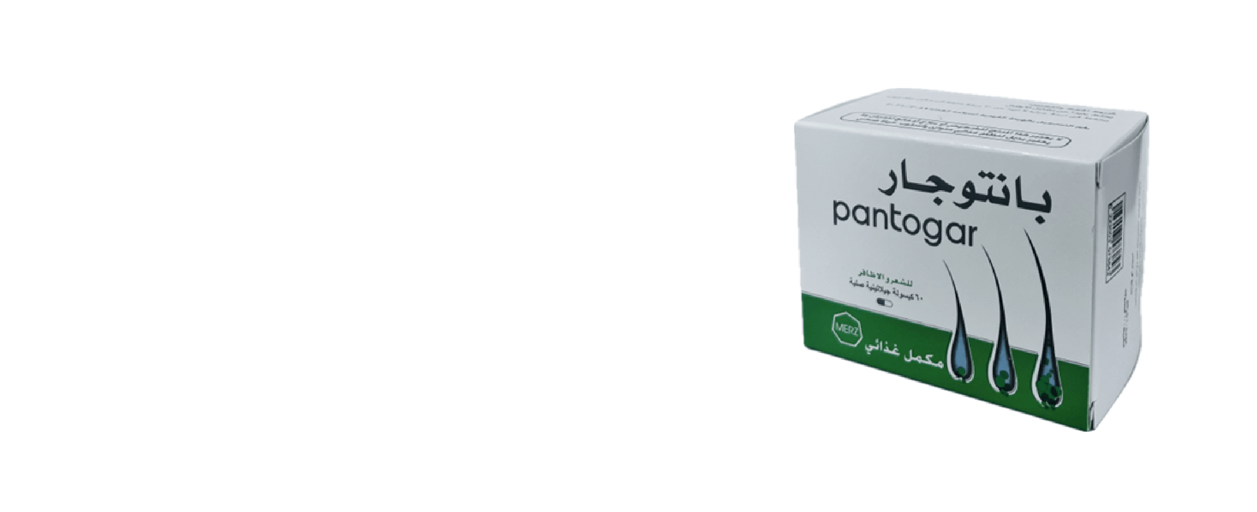 PANTOGAR